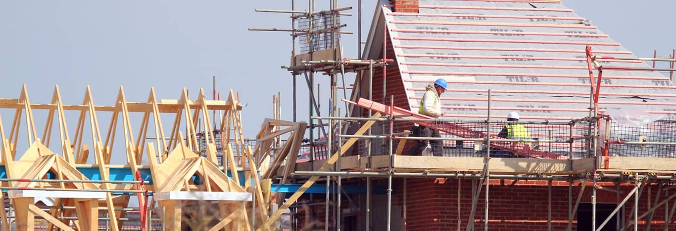 Builders Chard